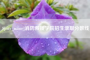 湖南消防救援学院招生录取分数线