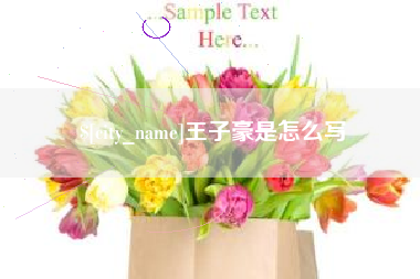 湖南王子豪是怎么写