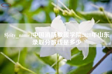 湖南中国消防救援学院2021年山东录取分数线是多少