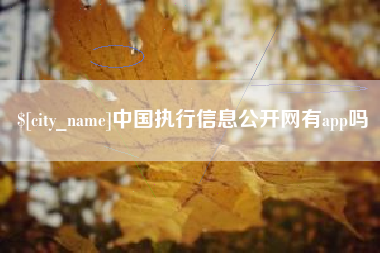 湖南中国执行信息公开网有app吗