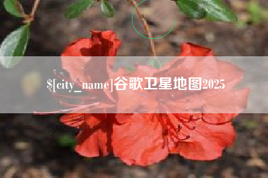湖南谷歌卫星地图2025