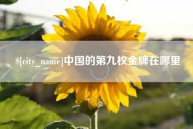 湖南中国的第九枚金牌在哪里