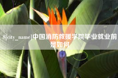 湖南中国消防救援学院毕业就业前景如何