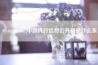 湖南中国执行信息公开网是什么东西