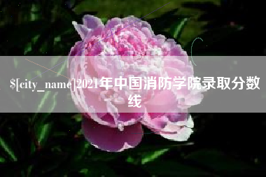 湖南2021年中国消防学院录取分数线