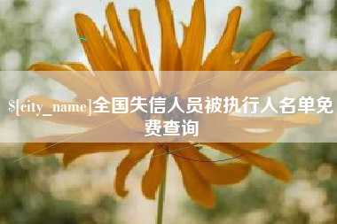 湖南全国失信人员被执行人名单免费查询