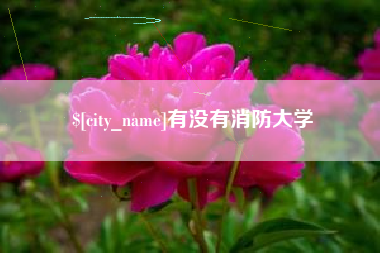 湖南有没有消防大学