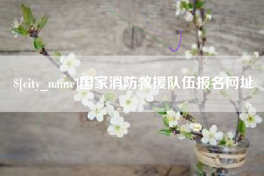 湖南国家消防救援队伍报名网址