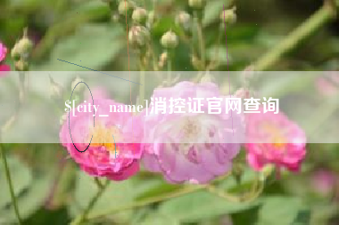 湖南消控证官网查询