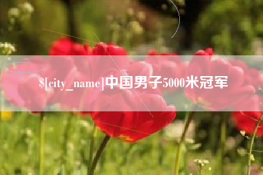 湖南中国男子5000米冠军