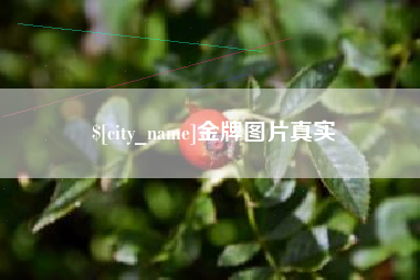 湖南金牌图片真实