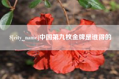 湖南中国第九枚金牌是谁得的