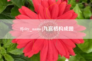 湖南九宫格构成图