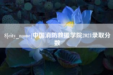 湖南中国消防救援学院2021录取分数