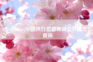 湖南中国执行信息查询公开网怎么查询