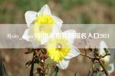 湖南中国消防官网报名入口2024
