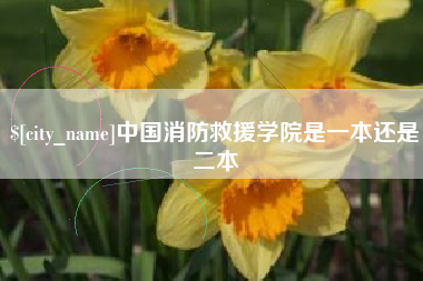 湖南中国消防救援学院是一本还是二本