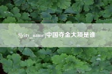 湖南中国夺金大项是谁