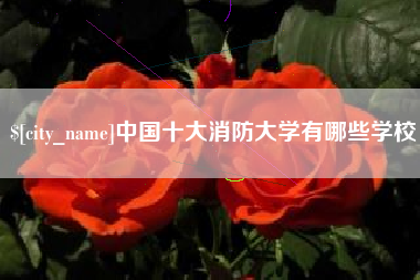 湖南中国十大消防大学有哪些学校