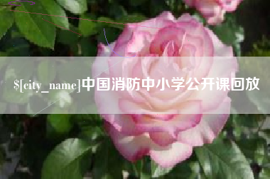 湖南中国消防中小学公开课回放
