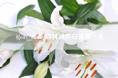 湖南森林消防日是哪一天
