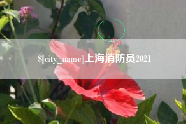 湖南上海消防员2021