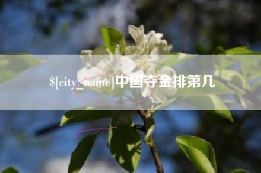 湖南中国夺金排第几