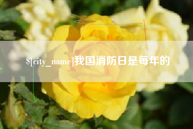 湖南我国消防日是每年的
