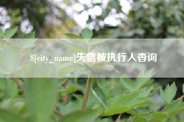 湖南失信被执行人杳询