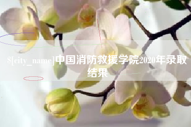 湖南中国消防救援学院2020年录取结果