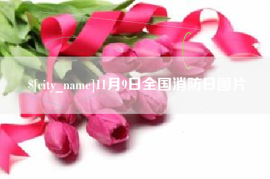 湖南11月9日全国消防日图片