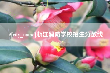 湖南浙江消防学校招生分数线