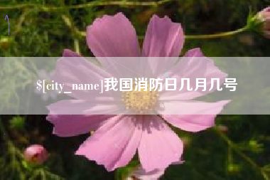 湖南我国消防日几月几号