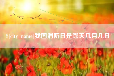 湖南我国消防日是哪天几月几日