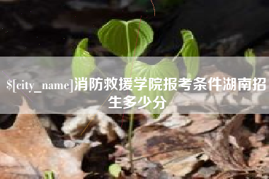 湖南消防救援学院报考条件湖南招生多少分