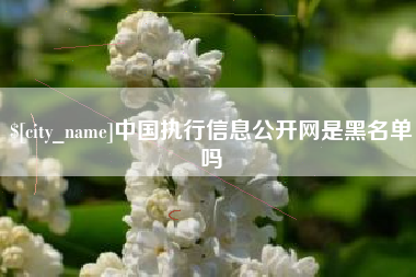 湖南中国执行信息公开网是黑名单吗