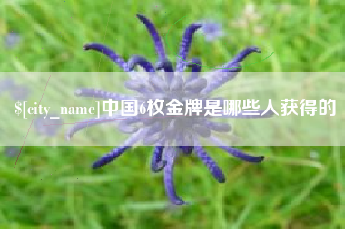 湖南中国6枚金牌是哪些人获得的