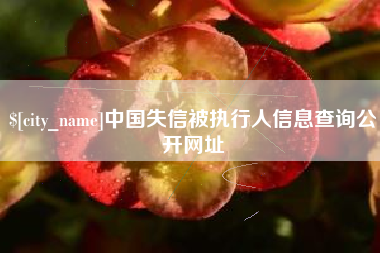 湖南中国失信被执行人信息查询公开网址