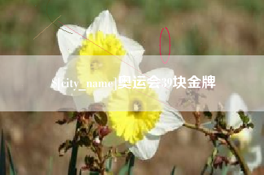 湖南奥运会39块金牌