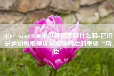 湖南5000米世界冠军穿什么鞋-它们是运动员取得优异成绩背后的重要“功臣”