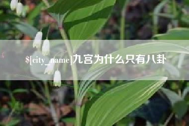 湖南九宫为什么只有八卦