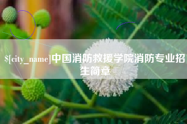 湖南中国消防救援学院消防专业招生简章