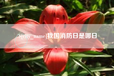 湖南我国消防日是哪日