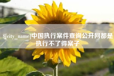湖南中国执行案件查询公开网都是执行不了得案子