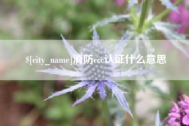 湖南消防ccc认证什么意思