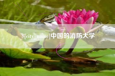 湖南中国的消防大学