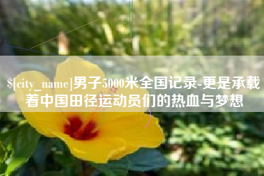 湖南男子5000米全国记录-更是承载着中国田径运动员们的热血与梦想