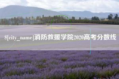湖南消防救援学院2020高考分数线