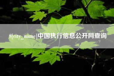 湖南中国执行信息公开网查询