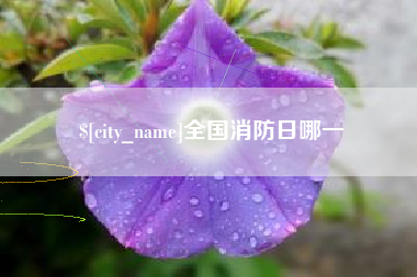 湖南全国消防日哪一